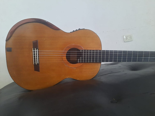 Guitarra De Concierto De Luthier Ricardo Louzao