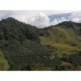 Venta De Hermosa Finca Entre Libano Y Murillo Tolima