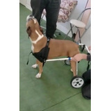 Silla De Rueda Carrito Ortopédico P/perros De 22 A 35 Kg