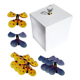 Caja De Regalo De Mariposas Caja De Mariposas Blanco