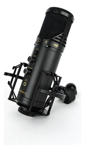 Microfono Usb Condenser Kurzweil Km1u Cardioide Voz Estudio Color Negro