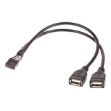 Cable Para Motherboard Board 2.54mm Pitch A 2 Usb Ampliador 