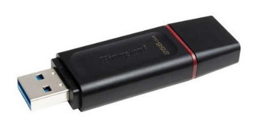 Memoria Usb 3.2 Kingston Dtx/256gb 256 Gb