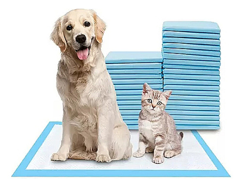 100 Tapete Entrenador Para Perro Gato 33x45 Cm Mascotas
