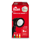 Espeto Led De Jardim 5w Preto Luz Verde - Kian