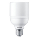 Lampara Led Philips 20w Ledbright Alto Flujo Lumínico 