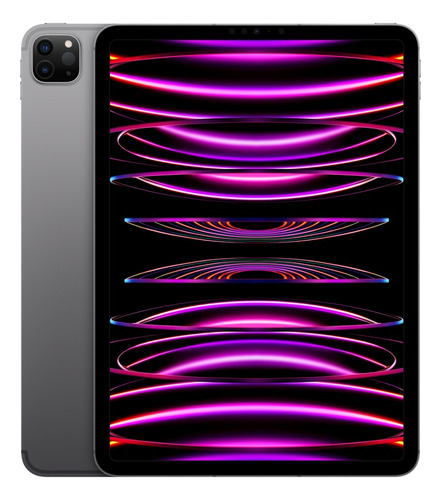 iPad pro Apple 11'' 256gb Con Wifi Color Gris Espacial