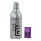 Prohall Pro Color Máscara Matizadora Silver Gloss 500ml