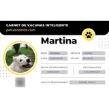 Carnet De Vacunación Mascotas - Unidad a $25000