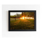 Quadro Raios Solares Iluminando Parque De Grama Baixa