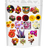 +30 Espécies  Diferentes De Sementes - Flores Deslumbrantes!