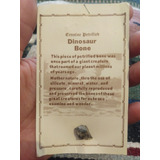 Fosil Hueso Dinosaurio (fragmento 1cm.) Precio Por Cada Uno