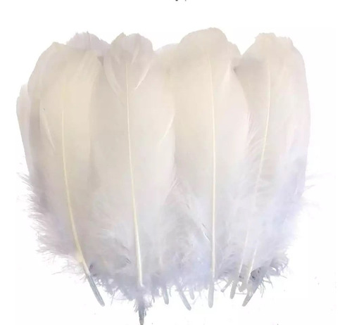 Plumas Decorativas Artificiales Color Blanco Paquete X 500