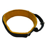 Collar De Intervención , Para Perro, 65cm Largo, 5cm Ancho