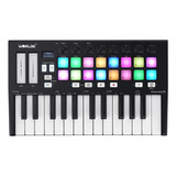 Teclado 25 Controlador Midi Mundo Orca Portátil Con Usb