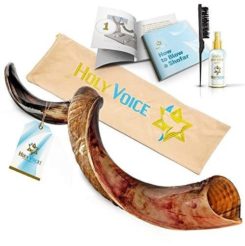 Bocina Kosher Kudu Shofar De Israel  Shofar Yemeni Tradicio