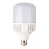 Lampara Galponera Led 100w Luz Fria E40  / France