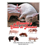 Manuales Guías Porcinos Cerdo Maternidad Cría Precebo Ceba