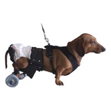 Carrito Fit Perro 5 A 10 Kg Trasera