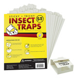 Trampas Para Insectos, Recluso Marrón, Arañas Hobo, Viudas N