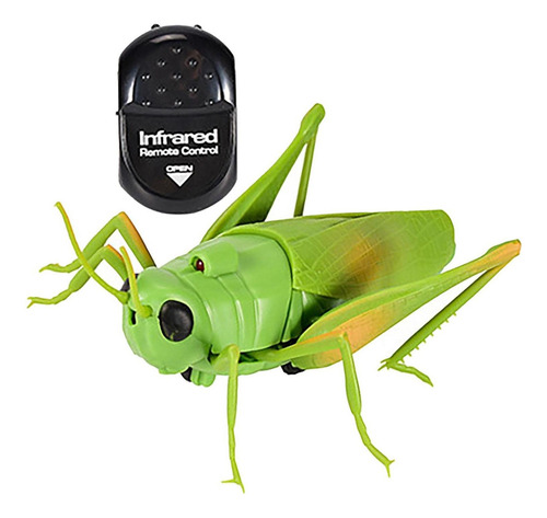 Rc Saltamontes Juguete Insecto Saltamontes Modelo Novedad