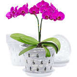 Kit De 5 Macetas Rígidas Transparentes - Orquídeas