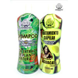 Shampoo  Extracto De Plantas Y Tratamient - L a $16