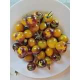 Semillas Tomate Cherry Purpple Amarillo Prosperidad