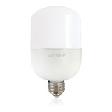 Lamparas Led Galponera 60w E40   - High Power Tipo T -werke-