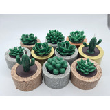 15 Velas Cactus Y Suculentas Aromaticas