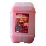 Shampoo Sin Frotar X 20 L Para Autos Y Camiones Tec