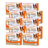 10 Vermífugo Canex Premium Giardia Cães 10kg - 4 Comprimidos