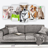 Placa Quadro Mosaico Pet Shop Cachorro Gato Veterinário - M2