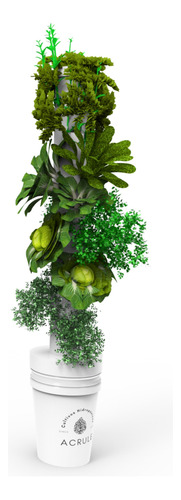 Sistema Hidropónico Vertical 20 Plantas - Huerta + Insumos