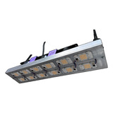 Panel Led Cob Samsung 600w Quantum Board