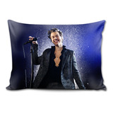 Almofada 27x37 Harry Styles Cantor Musico Decoração Presente