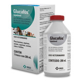 Glucafos Cálcio Injetável 200ml Msd