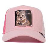 Gorra Goorin Bros 100% Original Cutie 