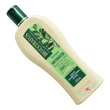 Shampoo Antiqueda Bioextratus Jaborandi 500ml Bio Extratus