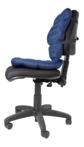 Cojin Silla Espaldar Soporte Lumbar Conductor Carro Camion