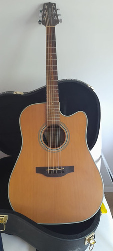 Takamine G Series Gd20ce Ns