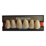 Dente Biotone 3p Sup Dentsply - 62