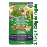 Purina Dog Chow Alim Edad Madura Extralife Longevidad 3.75kg