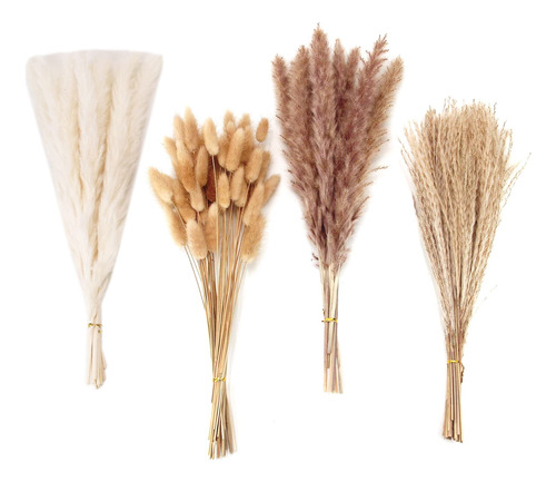 100 Peças De Decoração De Grama De Pampas Seca Pampas Grass