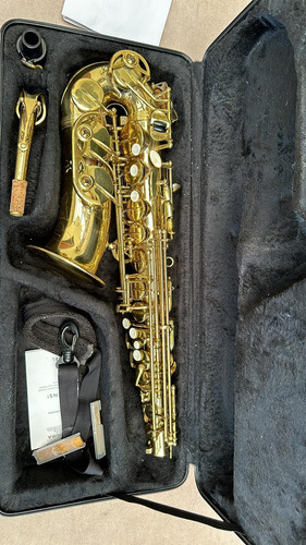 Sax Alto Michael Was M35