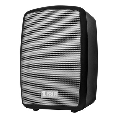 Bocina Kaiser 8 7200w Con Bluetooth Microfono Control | Envío gratis