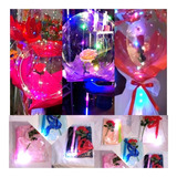 6 Globos Burbuja Con Flor Rosa Con Luz Led Con Liston Malla 