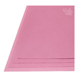 Papel Vegetal Perolizado 180g A4 (rosa) 5 Folhas