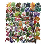 Stickers Suculentas, Cactus, Plantas 70 Piezas