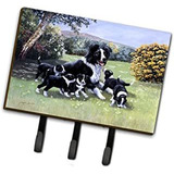 Tesoros De La Caroline Bdba0257th68 border Collie Cachorros 